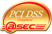 PCI DSS